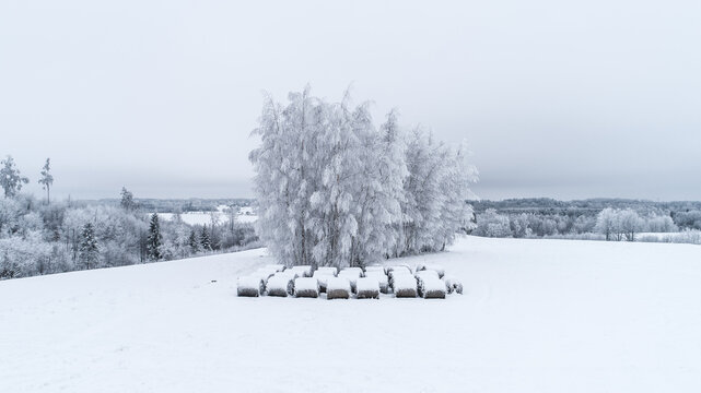 Aerial view of hay bales covered in snow in a field with frost-covered trees in Latvia.