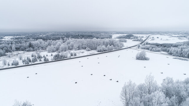 Aerial view of a snow-covered landscape in Latvia featuring a winding road cutting through frozen fields and frost-covered trees under a cloudy winter sky.