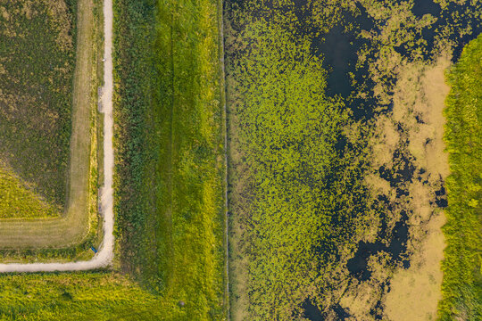 Aerial view of the Bastion Zubr area in Gdansk, featuring a dirt path along a grassy embankment adjacent to a water channel filled with green aquatic vegetation in Pomeranian Voivodeship, Poland.