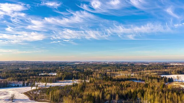 Aerial view of a vast coniferous and deciduous forest landscape with patches of snow under a bright blue sky with wispy cirrus clouds in Latvia.