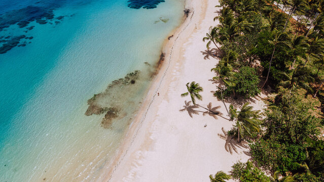 Aerial view of Las Terrenas beach with white sand, turquoise water, and palm trees casting shadows on the shore in Las Terrenas, Samana Province, Dominican Republic.