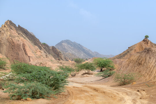 View of the rugged landscape of the Sulaiman Mountains with arid slopes, sparse green trees, and a dirt path under a clear blue sky in Dera Ghazi Khan, Punjab, Pakistan.