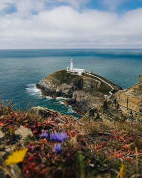 View of South Stack Lighthouse perched on a rocky island surrounded by the sea with wildflowers in the foreground in Holyhead, Wales, United Kingdom.