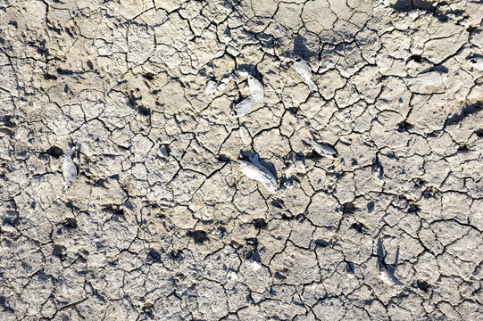 Yesildere Bucagi, Karaman, Turkey - 02 July 2025: Aerial view of the cracked, dry bed of Yesildere Dam, showing the severe impact of drought with dead fish scattered across the parched earth.