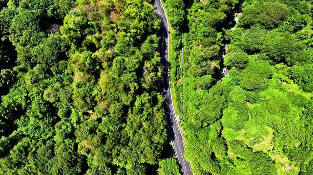 Aerial view of the winding road at Col d'Aubisque surrounded by dense green forests in the Pyrenees mountains in Beost, Nouvelle-Aquitaine, France.