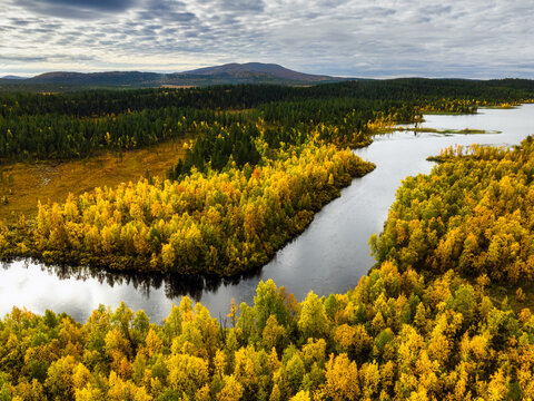 Aerial view of Perilajarvi lake surrounded by vibrant autumn foliage and dense coniferous forests under a cloudy sky in Enontekio, Lappi, Finland.