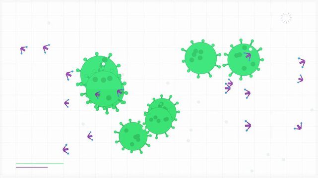 Animation of antibodies attacking and destroying virus cells