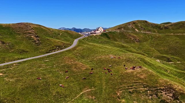 Aerial view of Col d'Aubisque mountain pass with a winding road, grazing cows on green hills, and a building in Beost, Nouvelle-Aquitaine, France.