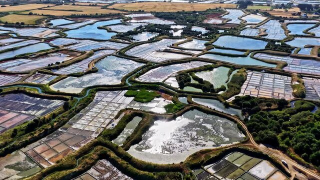 Aerial view of salt marshes with geometric pools and vegetation in Capbreton, Nouvelle-Aquitaine, France.