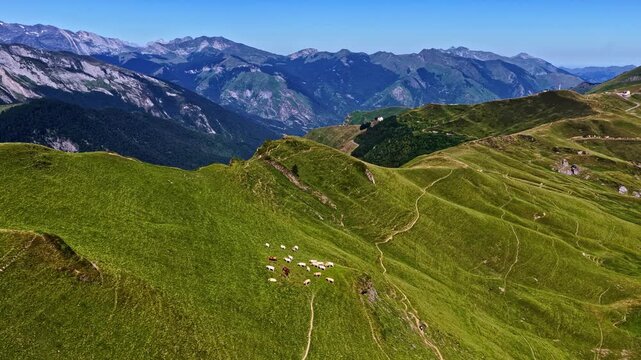 Aerial view of sheep grazing on the lush green mountain slopes of Col d'Aubisque in Beost, Nouvelle-Aquitaine, France.