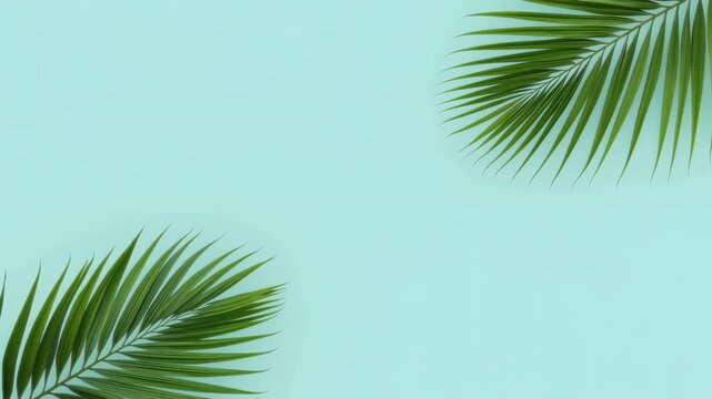 Tropical palm leaf background with pastel blue and mint copy space for calm summer design