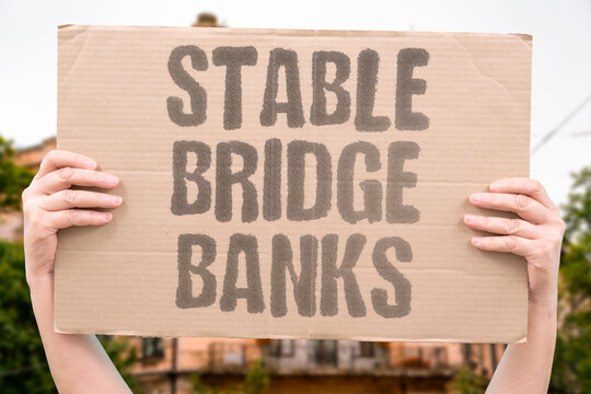 "Stable Bridge Banks" Digital dollars connect traditional finance and crypto. BRIDGE. FINANCE. CRYPTO. LIQUIDITY. SETTLEMENT.