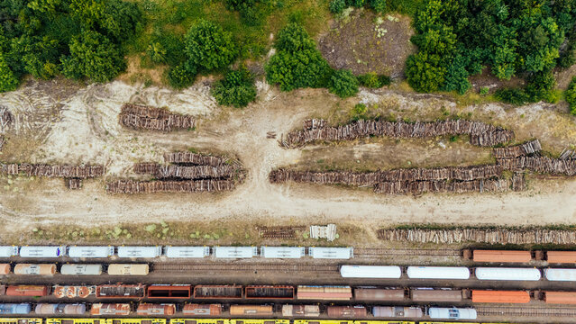 Aerial view of freight trains loaded with logs parked at a rail yard near a forest edge in Novi Sad, Vojvodina, Serbia.