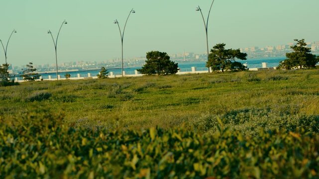 Couple walking along a seaside promenade with green grass and city skyline in the background