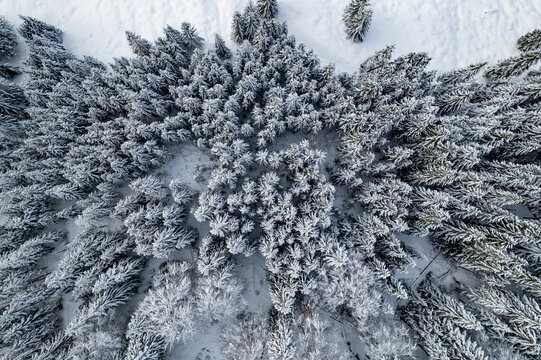 Aerial view of the snow-covered forest and the winding Dienersberger Weg path surrounded by frost-dusted pine trees in Oberstdorf, Bayern, Germany.