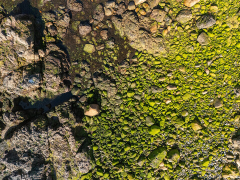 Aerial view of moss-covered rocks and tide pools along the rugged coastline in Sines, Setubal, Portugal.