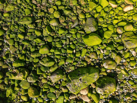 Aerial view of moss-covered rocks along the shoreline in Sines, Setubal, Portugal.