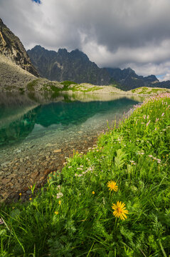 View of Litvorove pleso surrounded by vibrant wildflowers and rocky mountain peaks under a cloudy sky in Tatranska Javorina, Presovsky kraj, Slovakia.