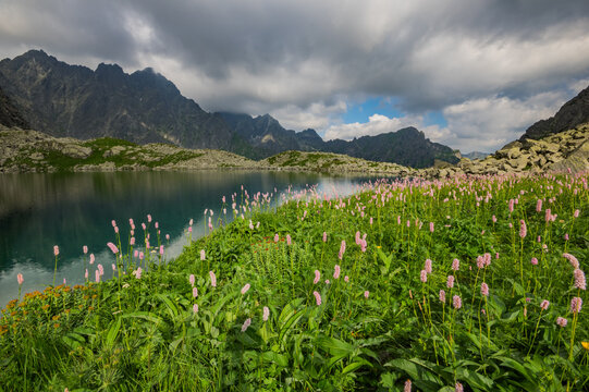 View of Litvorove pleso with pink wildflowers and rocky mountains under a cloudy sky in Tatranska Javorina, Presovsky kraj, Slovakia.
