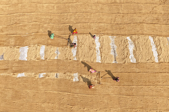 Brahmanbaria, Chittagong Division, Bangladesh - 24 January 2026: Aerial view of Ashuganj, where workers use rakes to spread and dry harvested grain on the ground in long rows.