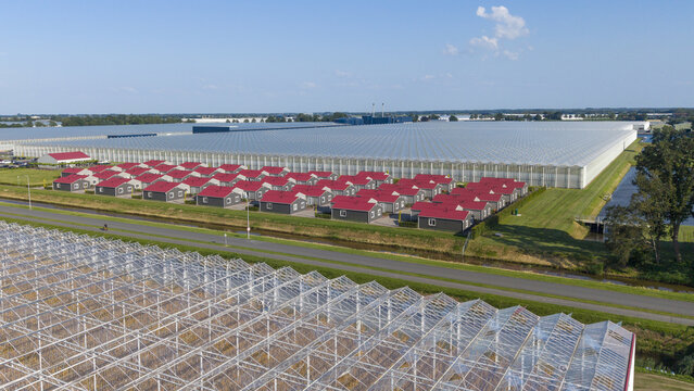 Aerial view of housing for migrant and seasonal workers with red roofs situated next to large industrial greenhouses in the rural landscape of Luttelgeest, Flevoland, Netherlands.
