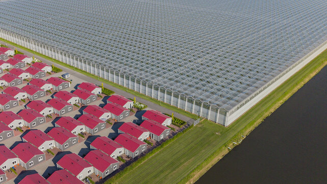 Aerial view of housing for migrant and seasonal workers situated next to a large industrial greenhouse complex with red roofs and a canal in Luttelgeest, Flevoland, Netherlands.