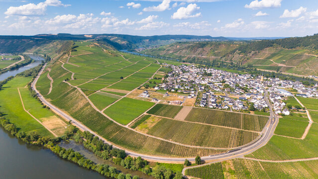 Aerial view of Trittenheim village nestled in a dramatic Moselle River loop, surrounded by lush green Riesling vineyards under a bright sky in Trittenheim, Rhineland-Palatinate, Germany.