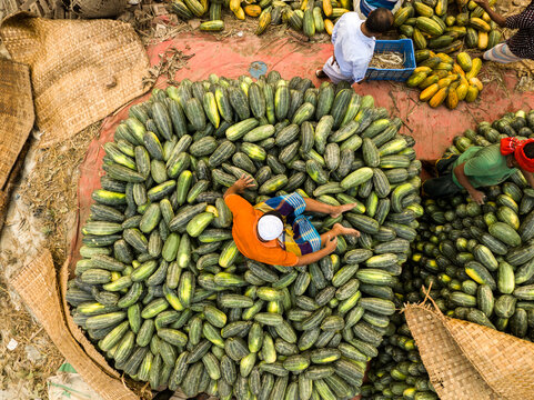 Dhaka, Dhaka Division, Bangladesh - 06 March 2026: Aerial view of Hazaribag market with workers sorting large piles of fresh green cucumbers on the ground.