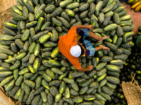 Dhaka, Bangladesh - 06 March 2026: Aerial view of a man in an orange shirt and white cap sitting amidst a large pile of fresh green cucumbers at the Hazaribag market.