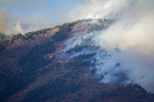 Aerial view of a forest fire burning on a mountain slope with thick smoke rising above the trees in the Susa Valley in Chianocco, Piedmont, Italy.
