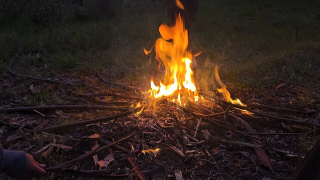 Fogata, noche, quemar, fuego