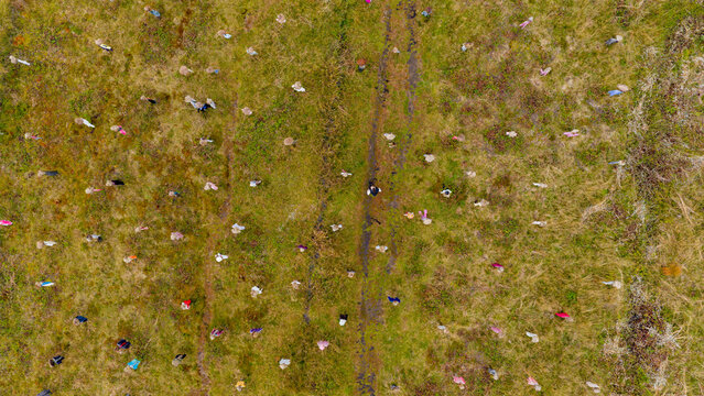 Aerial view of The Silent People art installation featuring numerous figures placed in a grassy field with a central dirt path in Suomussalmi, Kainuu, Finland.