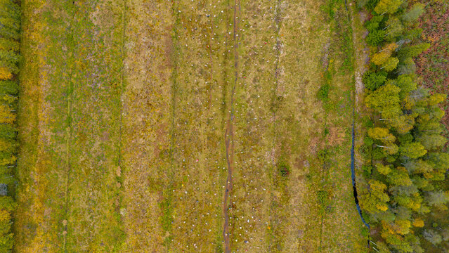 Aerial view of The Silent People art installation in a field, surrounded by autumn forests and a small stream in Suomussalmi, Kainuu, Finland.