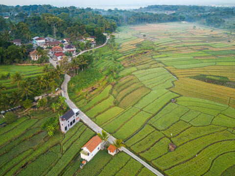 Aerial view of Kali Mojo rice terraces surrounded by lush green paddies, small village houses, and a winding road in Tengaran, Central Java, Indonesia.