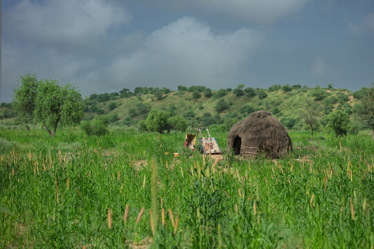 View of a traditional thatched hut situated in a lush green field with rolling hills in the background under a cloudy sky in Nagarparkar, Sindh, Pakistan.