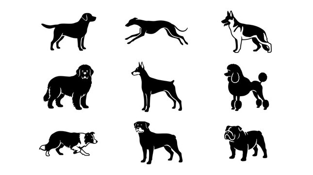 Dog breed silhouettes grid, ensemble de silhouettes de chiens, Hunderassen Silhouetten Gitter, cuadr&iacute;cula de siluetas de perros, 犬のシルエット グリッド, 狗品种剪影网格