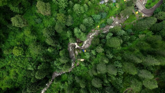 Aerial view of a winding stream and small camping tents nestled among dense green pine trees in Sethan, Himachal Pradesh, India.