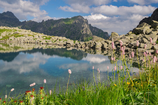 View of Litvorove pleso with its clear blue water reflecting the surrounding rocky mountain peaks and wildflowers in the foreground in Tatranska Javorina, Presovsky kraj, Slovakia.