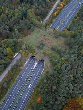 Aerial view of a wildlife crossing bridge over a highway surrounded by dense forest in the Netherlands.