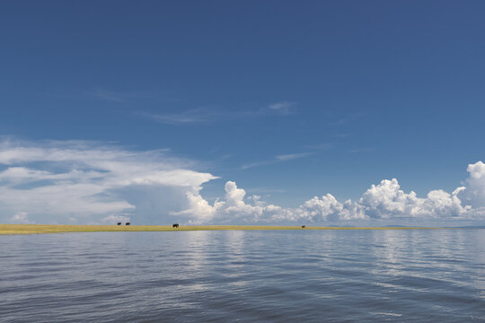 View of elephants grazing in a vast landscape under dramatic clouds near the water, Kariba, Mashonaland West Prov, Zimbabwe.