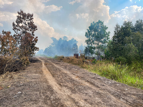 Liang Anggang, South Kalimantan, Indonesia - 15 July 2026: View of a dirt road leading into a landscape affected by fire with charred trees and smoke rising into the sky.