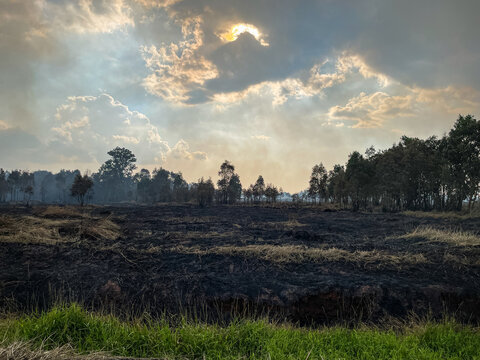 Liang Anggang, South Kalimantan, Indonesia - 15 July 2026: View of the aftermath of a forest fire with charred ground and trees under a dramatic cloudy sky with sun rays breaking through.