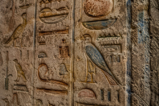 Detailed Ancient Egyptian Hieroglyphics Carved Into Temple Wall