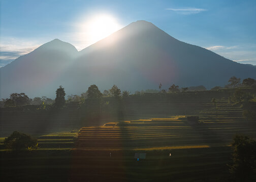 Aerial view of rice terraces at sunrise with mountains in the background in Pacet, East Java, Indonesia.