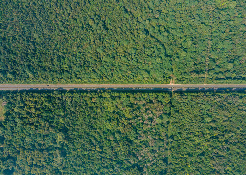 Aerial view of Changa Manga forest with a straight road cutting through the dense green canopy in Changa Manga, Punjab, Pakistan.