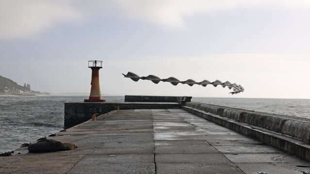 View of a chronophoto sequence showing the flight path of a bird over a concrete pier with a lighthouse and a resting seal in Cape Town, Western Cape, South Africa.