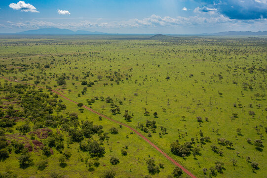 Aerial view of Pian Upe Game Reserve featuring vast green savanna plains, scattered acacia trees, and a winding dirt road under a bright blue sky in Namalu, Northern Region, Uganda.