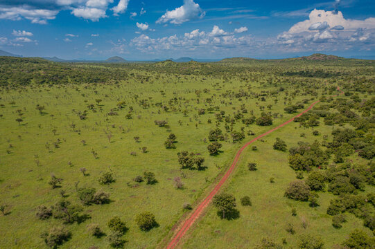 Aerial view of the vast savanna landscape of Pian Upe Game Reserve with a dirt road winding through scattered trees and distant hills under a blue sky in Namalu, Northern Region, Uganda.