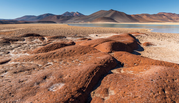 View of the unique red volcanic rock formations at Piedras Rojas with a salt lagoon and distant mountains under a clear blue sky in San Pedro de Atacama, Antofagasta, Chile.