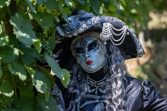 Riquewihr, France - 04 July 2026: View of a person wearing an ornate Venetian mask and costume standing among grapevines in a vineyard.
